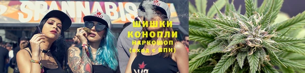 соль ск Богородск