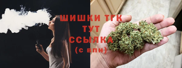 соль ск Богородск
