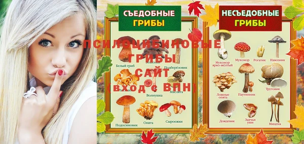 крисы Богданович