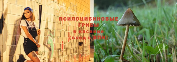 jwh Богородицк