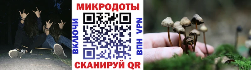 Галлюциногенные грибы мицелий  Купить  Сибай 